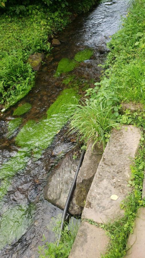 Gite A La Petite Fontaine-Plain Pied-Maison Alsacienne Renovee Avec Passion-4 Pers-4Nuitees Minimum Langensoultzbach Eksteriør bilde