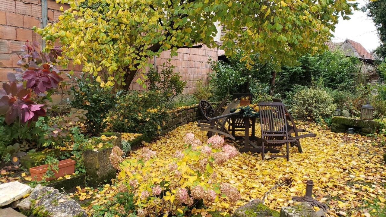 Gite A La Petite Fontaine-Plain Pied-Maison Alsacienne Renovee Avec Passion-4 Pers-4Nuitees Minimum Langensoultzbach Eksteriør bilde