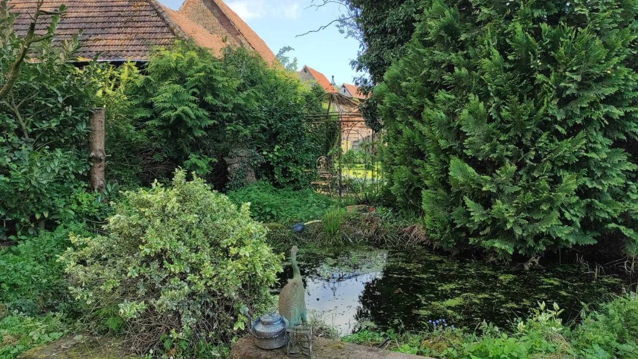 Gite A La Petite Fontaine-Plain Pied-Maison Alsacienne Renovee Avec Passion-4 Pers-4Nuitees Minimum Langensoultzbach Eksteriør bilde