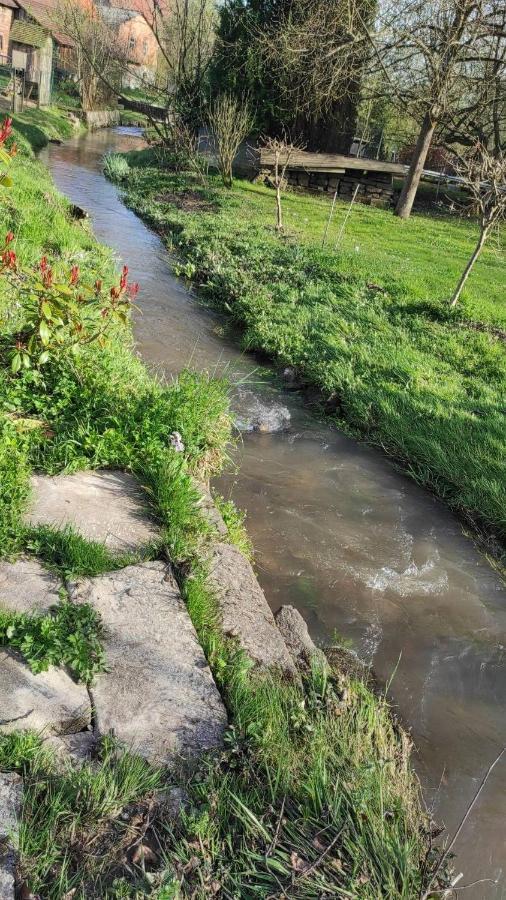 Gite A La Petite Fontaine-Plain Pied-Maison Alsacienne Renovee Avec Passion-4 Pers-4Nuitees Minimum Langensoultzbach Eksteriør bilde