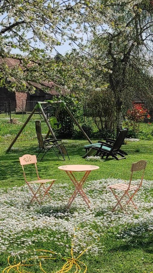 Gite A La Petite Fontaine-Plain Pied-Maison Alsacienne Renovee Avec Passion-4 Pers-4Nuitees Minimum Langensoultzbach Eksteriør bilde